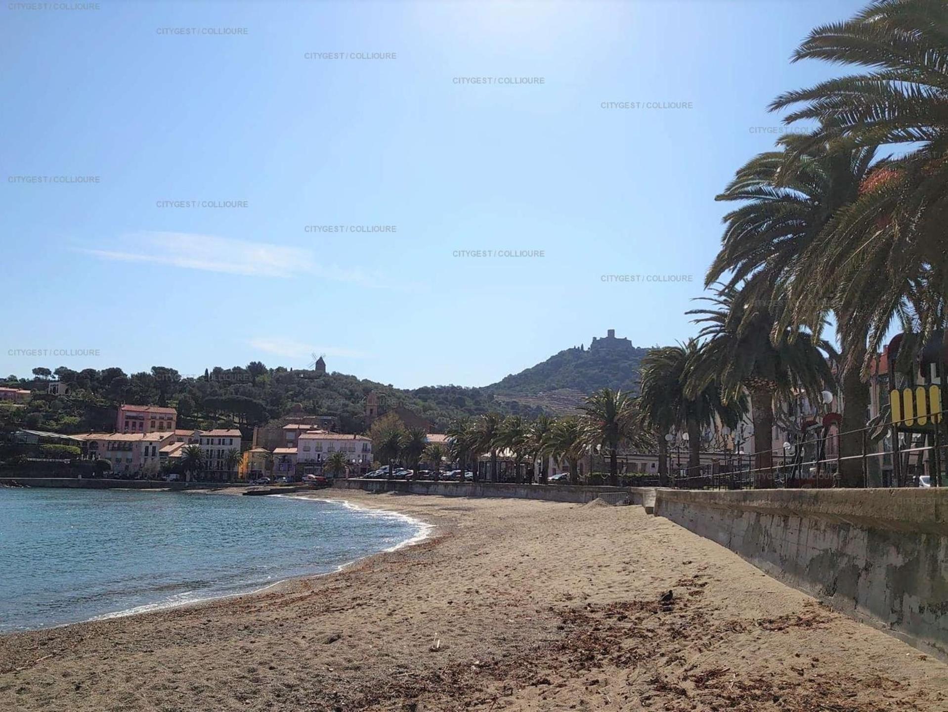 5Demo54 - Appartement Tres Proche Plage Et Toutes Commodites コリウール エクステリア 写真